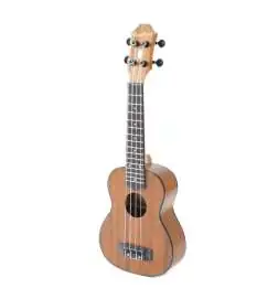 Epiphone EpiLani Soprano Ukulele