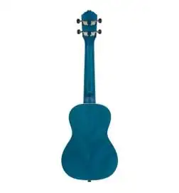 Ortega RUOCEAN Concert
