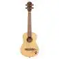 Ortega RU5-TE Tenor Ukulele
