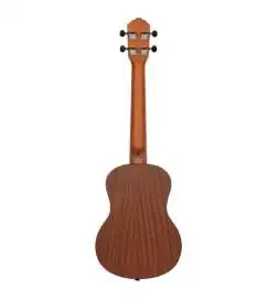 Ortega RU5-TE Tenor Ukulele