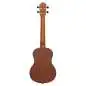Ortega RU5-TE Tenor Ukulele