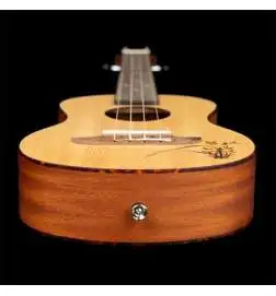 Ortega RU5-TE Tenor Ukulele