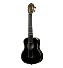Ortega RUOX-TE
