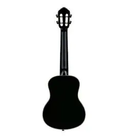 Ortega RUOX-TE