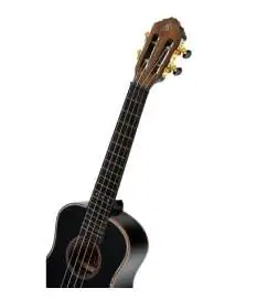 Ortega RUOX-TE
