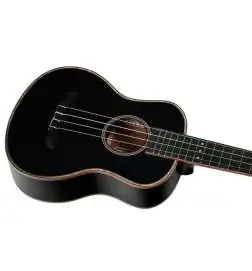 Ortega RUOX-TE