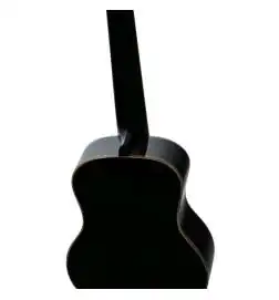 Ortega RUOX-TE