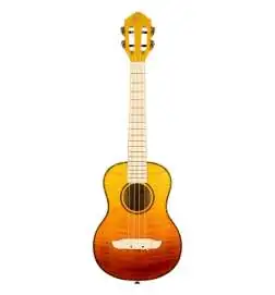 Ortega RUPR-Tequila Burst Fade