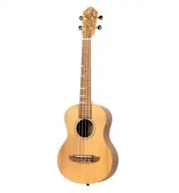Ortega RUTI-TE