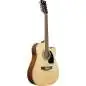 Ibanez PF1512ECE 12-String