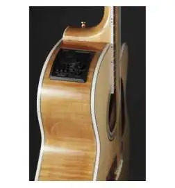 Takamine GJ72CE12N 12-String