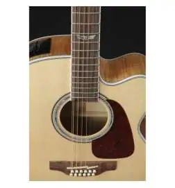 Takamine GJ72CE12N 12-String