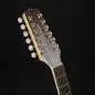 Takamine GJ72CE12N 12-String Takamine GJ72CE12N 12-String