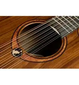 LAG Guitars Green Guitars Sauvage-J12CE