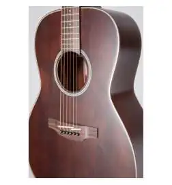 Takamine GY21E SM