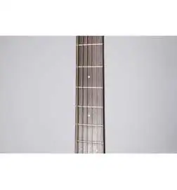 Takamine GY21E SM