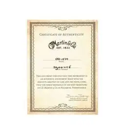 Martin Guitars 00-15M
