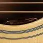 Gibson Hummingbird Original AN