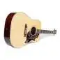 Gibson Hummingbird Original AN