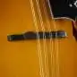Red Hill A-Style Mandolin Sunburst