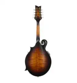 Ortega RMFE100AVO Antique Violin Oiled