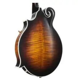 Ortega RMFE100AVO Antique Violin Oiled