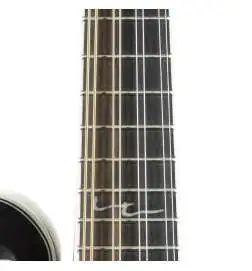 Ortega RMFE100AVO