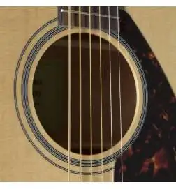 Yamaha FG 800 NT Natural
