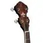 Ortega OBJ300-WB Whiskey Burst