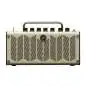 Yamaha THR5 Guitar Amp and Recording Interface Yamaha THR5 Guitar Amp and Recording Interface