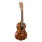 Martin Guitars C1K Concert Uke Solid Hawaiian Koa