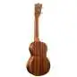 Martin Guitars C1K Concert Uke Solid Hawaiian Koa