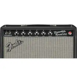Fender Tone Master Princeton Reverb