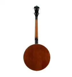 VGS Banjo Tenor 4-String inklusive koffer
