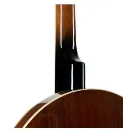 VGS Banjo Tenor 4-String incl. Koffer