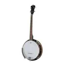VGS Banjo Tenor 4-String incl. Koffer