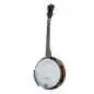 VGS Banjo Tenor 4-String