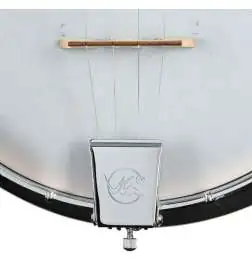 VGS Banjo Tenor 4-String inklusive koffer