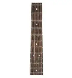 VGS Banjo Tenor 4-String inklusive koffer