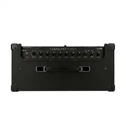 Line 6 Catalyst CX 100