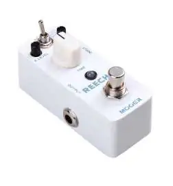 Mooer Audio Reecho Delay