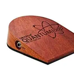 Ortega QUANTUMexp