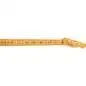 Fender 50's Esquire Neck Maple