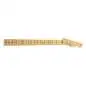 Fender 1951 Telecaster Neck MN