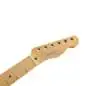 Fender 1951 Telecaster Neck MN