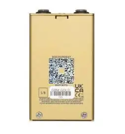 Jackson Audio Golden Boy Mini