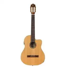 Ortega RCE131 NT