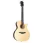 Sigma Guitars GTCSE-1