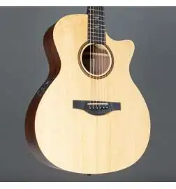 Sigma Guitars GTCSE-1