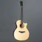 Sigma Guitars GTCSE-1